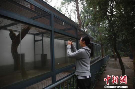 20181220083910638.jpg 20181220083910638.jpg