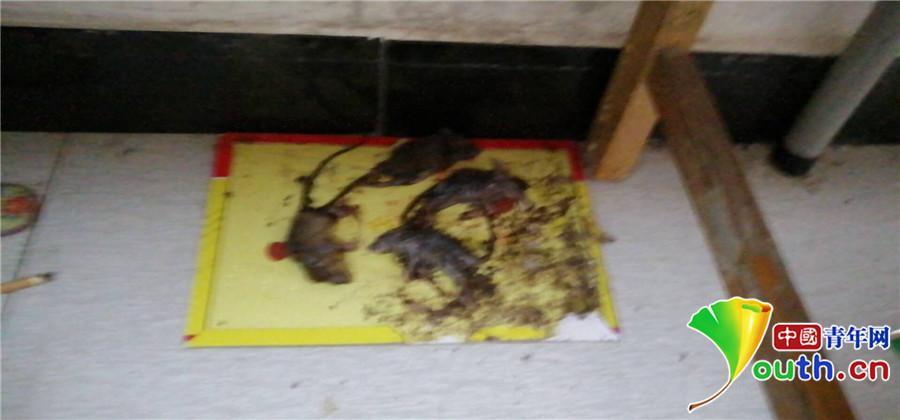 20181221081811817.jpg 20181221081811817.jpg