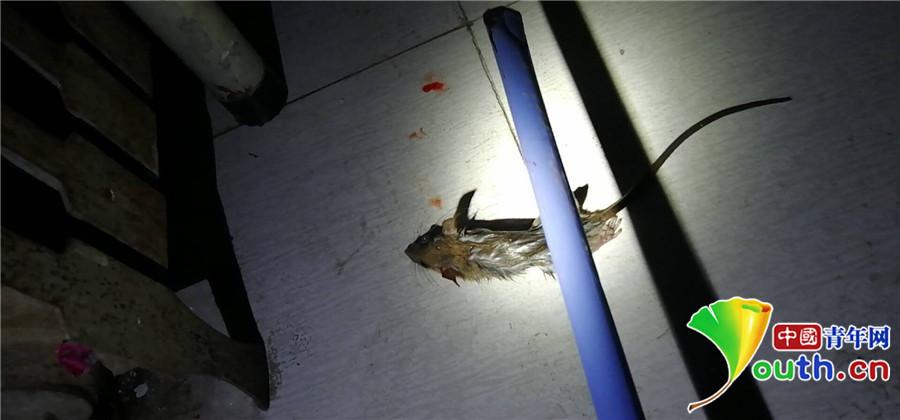 20181221081811420.jpg 20181221081811420.jpg