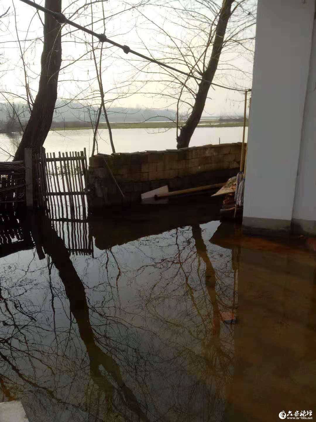 水库水位漫过家