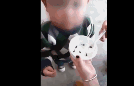 20181227071212745.gif 20181227071212745.gif
