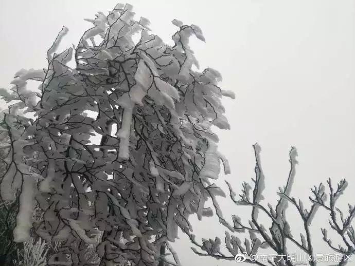 20181229010031567.jpg 20181229010031567.jpg