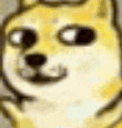 20190117075132642.gif 20190117075132642.gif