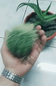 20190122031447201.gif 20190122031447201.gif