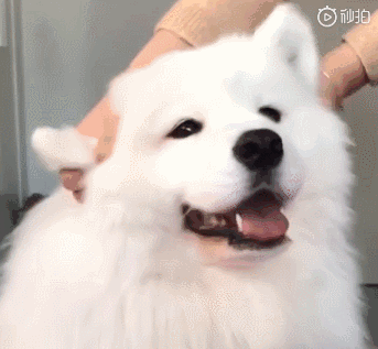 20190122031446343.gif 20190122031446343.gif
