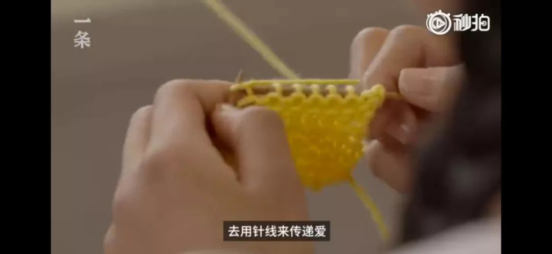 sxcX-hryfqhk9904675.jpg