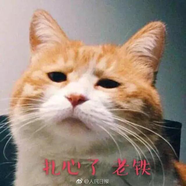 u=334113355,2951371211&amp;fm=173&amp;app=49&amp;f=JPEG.jpg