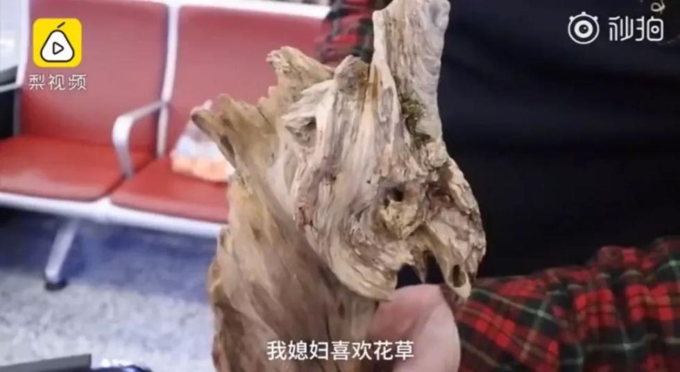 20190127080204667.jpg 20190127080204667.jpg