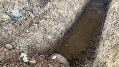 20190130083015860.gif 20190130083015860.gif