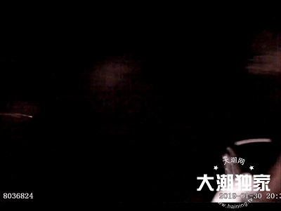 20190131020054374.gif 20190131020054374.gif
