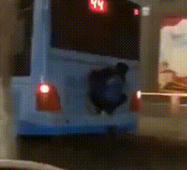 20190202100841624.gif 20190202100841624.gif