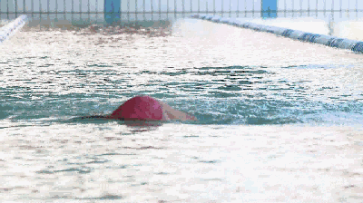20190213095620244.gif 20190213095620244.gif