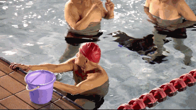 20190213095619343.gif 20190213095619343.gif