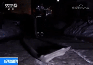 20190212040848983.gif 20190212040848983.gif