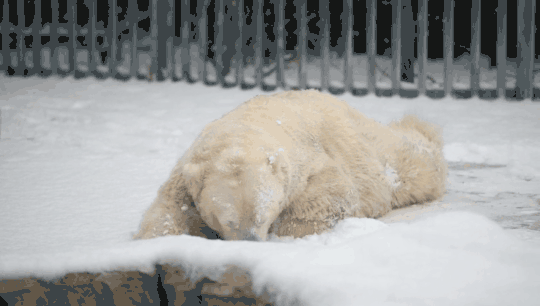 20190212055602884.gif
