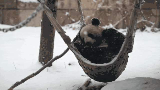 20190212055606652.gif