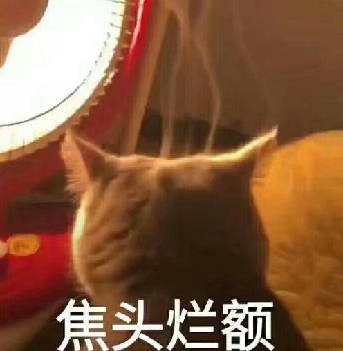 20190215032753690.jpg
