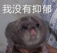 20190215032753213.jpg
