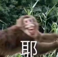 20190215032753618.jpg