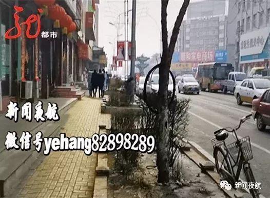 20190216083708951.jpg