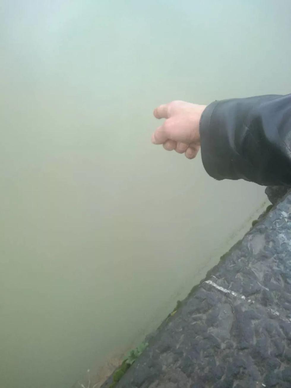 20190217093232302.jpg