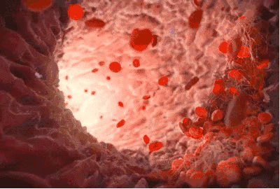 20190216043855972.gif