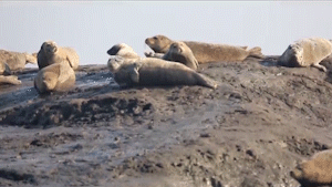 20190221043854344.gif 20190221043854344.gif