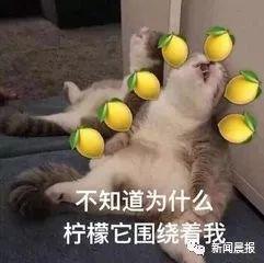 20190221040003617.jpg 20190221040003617.jpg