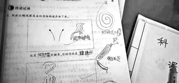 QQ截图20190301091124.png
