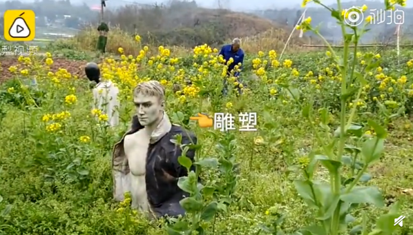 QQ截图20190307094249.png