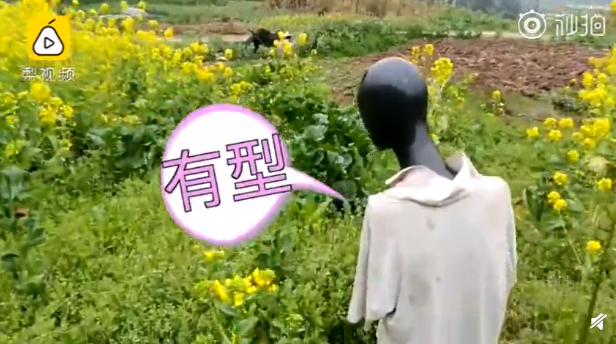 QQ截图20190307094255.png