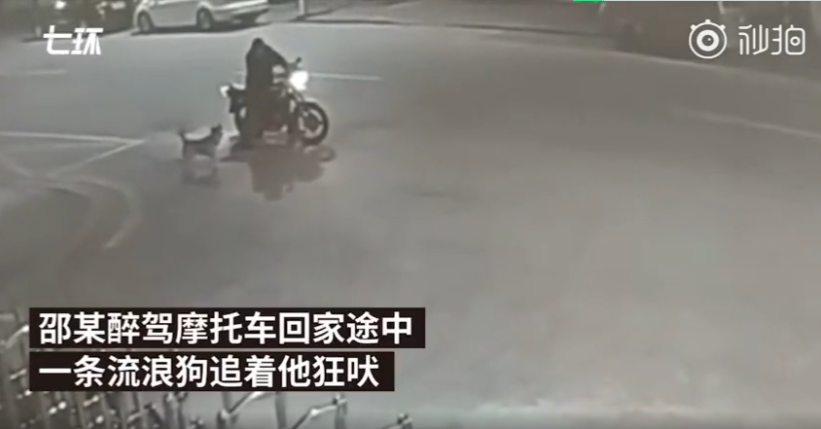 QQ截图20190309083259.png
