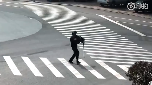 QQ截图20190313094543.png