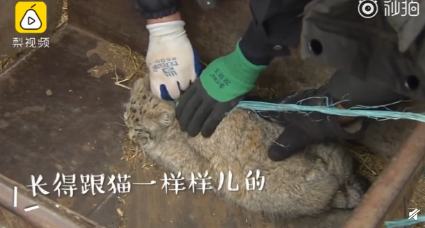 QQ截图20190317084354.png