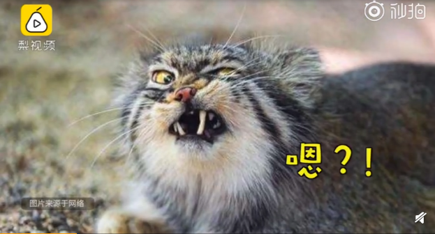 QQ截图20190317084404.png