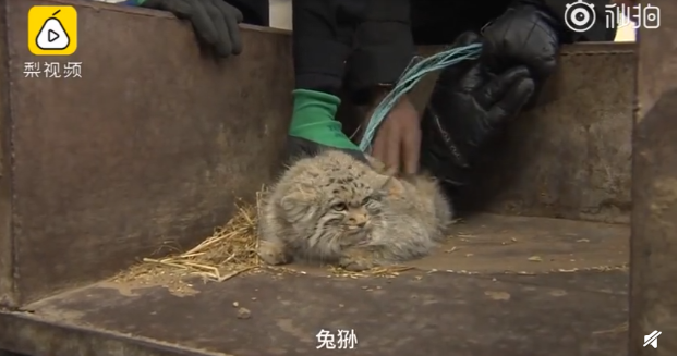 QQ截图20190317084411.png