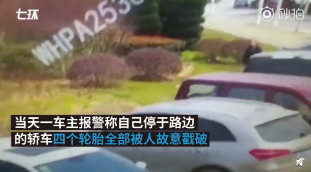 QQ截图20190318081315.png