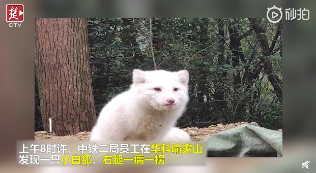 QQ截图20190318084848.png