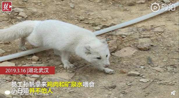 QQ截图20190318084855.png