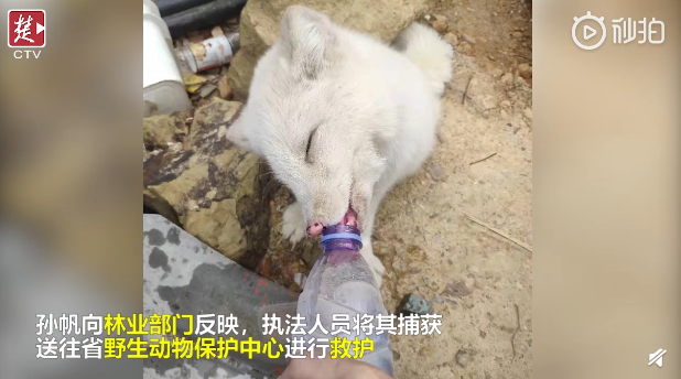 QQ截图20190318084904.png