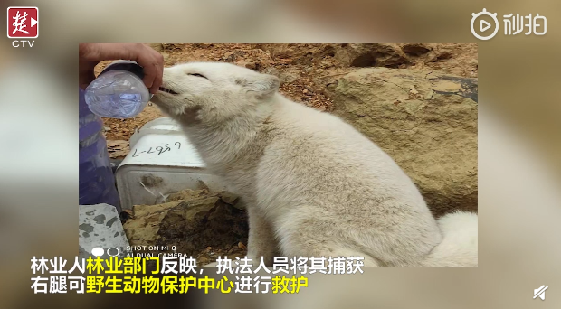 QQ截图20190318084911.png