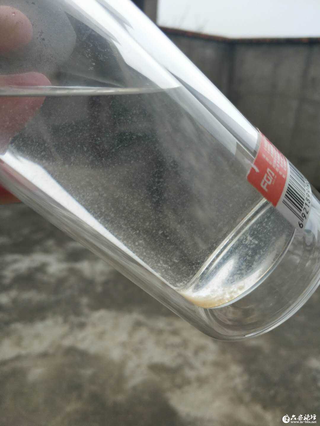 六安论坛_20190321_144652 (2).jpg