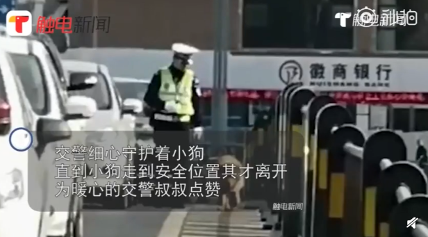 QQ截图20190327083711.png