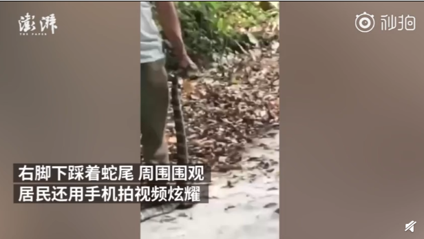 QQ截图20190328100031.png