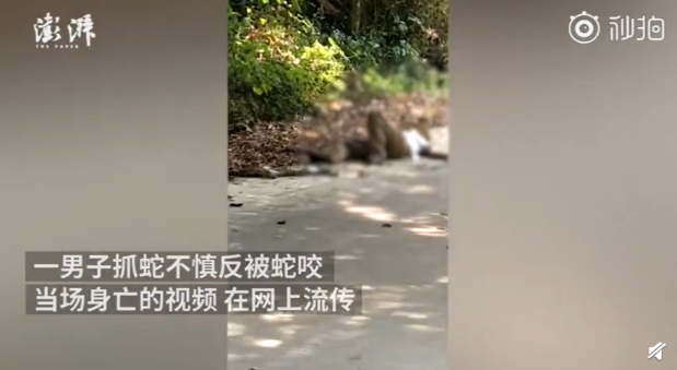 QQ截图20190328100021.png