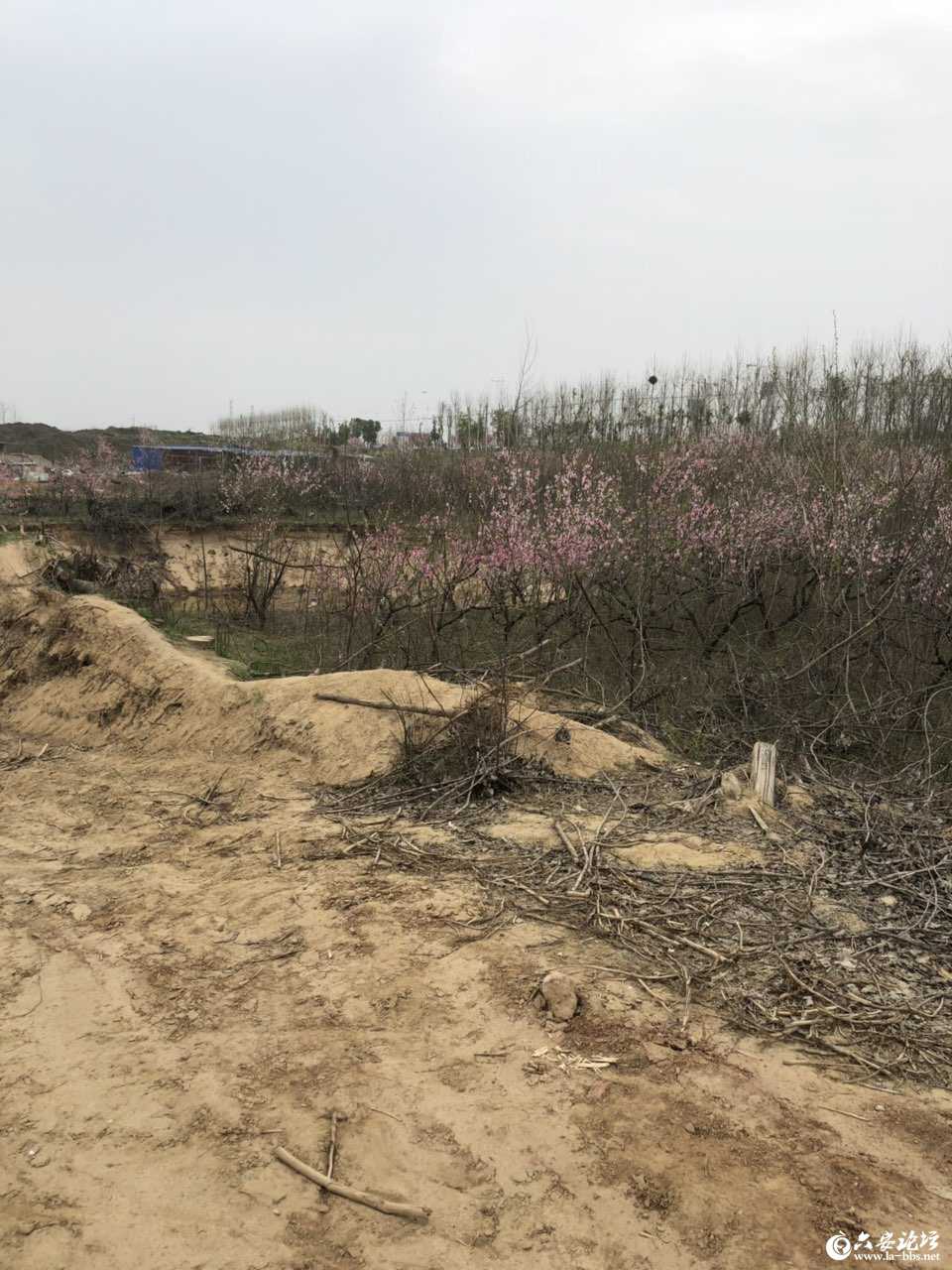 201903312613311553964032873647.jpg