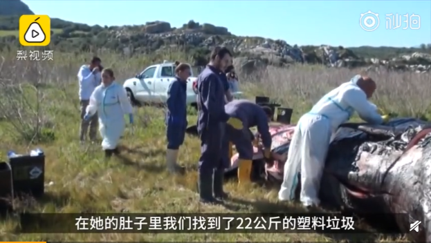 QQ截图20190403091847.png