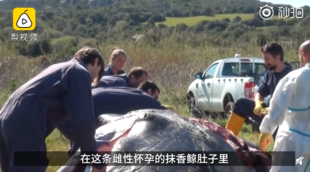 QQ截图20190403091852.png
