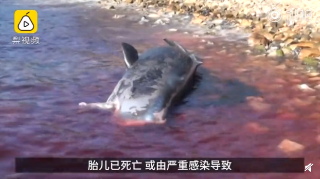 QQ截图20190403091859.png
