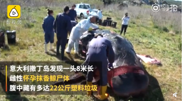 QQ截图20190403091908.png